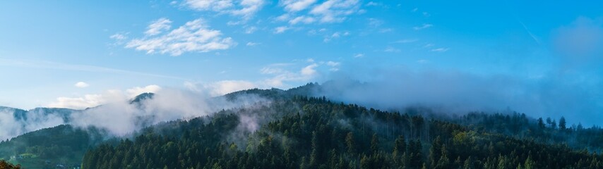 Wall Mural - Germany, XXL panorama schwarzwald forest nature landscape baden near freiburg im breisgau in misty foggy atmosphere after sunrise aerial view