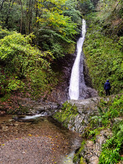 Wall Mural - Whitelady waterfall in rain - Lydford Gorge, Dartmoor National Park, Devon, United Kingdom