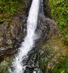 Wall Mural - Whitelady waterfall in rain - Lydford Gorge, Dartmoor National Park, Devon, United Kingdom