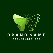 Triangle Butterfly Logo. Transform To Digital Business. Vector Illustration