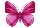 Fototapeta Motyle - Beautiful pink butterfly isolated on a white background. Hand painted Watercolor design