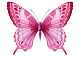 Fototapeta Motyle - Beautiful pink butterfly isolated on a white background. Hand painted Watercolor design