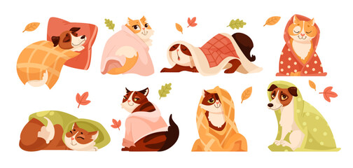 Wall Mural - Cute cat and dog characters in blankets vector illustrations set. Cartoon drawings of adorable comic domestic animals in warm clothing isolated on white background. Autumn or fall, pets concept
