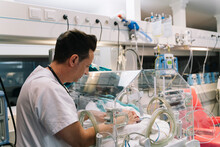 Doctor Taking Care Of Newborn Baby In Incubator