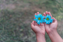 Crop Ethnic Woman With Blue Daisies In Hands