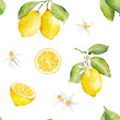 Watercolor seamless pattern with lemons and flowers isolated on white background.