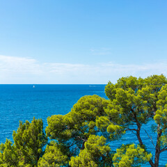 Wall Mural - Mediterranean Oceanside in Rovinj, Croatia