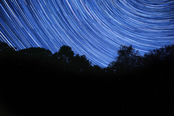 Wall Mural - star tracks, the night motion of the stars over the forest.