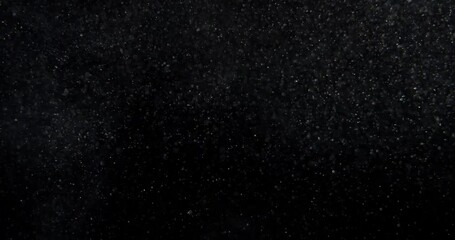 Wall Mural - Vertical dust particles system floating on Black Screen Overlay. RED camera footage in slow motion.