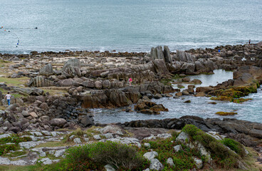 Wall Mural - natural pools between the rocks on the beach in Florianópolis