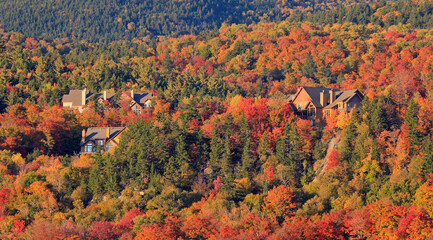 Wall Mural - Houses surrounded by colorful autumn leaves at Mont Tremblant