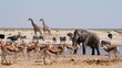 Wild animals gather around a waterhole in Etosha National Park, Namibia, Africa.	
