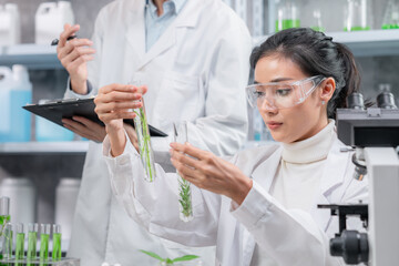 medicine biology laboratory of organic plant experiment test in glasses tube of cosmetic chemistry research medicals, chemical biotechnology science of nature leaf and green herbal oil technology