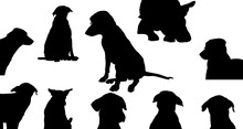  Isolated Collection Of Silhouettes Of Dogs.