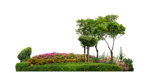 Wall Mural - Colorful shrubs, ornamental plants, gardens or parks. isolated on transparent background cut path.