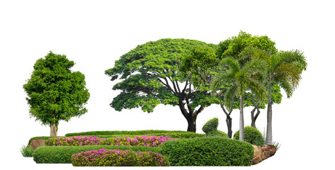 Aufkleber - Colorful shrubs, ornamental plants, gardens or parks. isolated on transparent background cut path