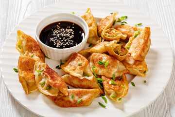 Canvas Print - gyoza, wonton wrappers stuffed with pork, cabbage