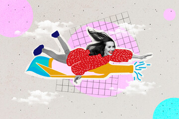 Wall Mural - Collage 3d image of pinup pop retro sketch of funny funky young woman dream ride flying reactive alcohol bottle imagination friday party