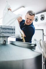 Wall Mural - Man pouring malt to brewery equipment for craft beer production.