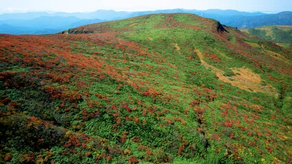 Wall Mural - 紅葉の栗駒山を空撮