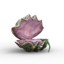 Fantasy Giant Clam Shell Open Like A Mermaid Seat. 3D Illustration Isolated.