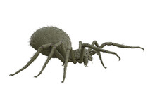 Giant Fantasy Monster Spider In Attack Pose. 3D Rendering Viewed From Side Isolated.