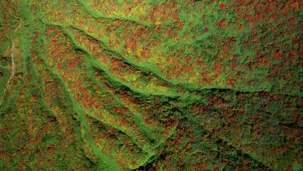 Wall Mural - 紅葉の栗駒山を空撮