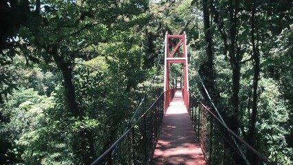 Wall Mural - Walking over a red bridge in Monteverde Cloud Forest Reserve 1
