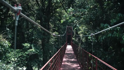 Wall Mural - Walking over a red bridge in Monteverde Cloud Forest Reserve 2