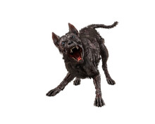 3D Rendering Of A Fierce Zombie Dog In Aggressive Pose Isolated.
