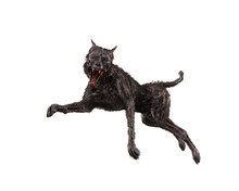 Fantasy Horror Zombie Dog Attacking. 3D Rendering Isolated.