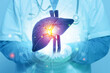 Human Liver Anatomy on medical background. 3d illustration