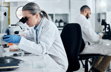 Poster - Laboratory woman, microscope or medical research of covid sample, cancer biopsy or DNA engineering analytics. Mature scientist with science equipment, healthcare innovation or insurance medicine idea