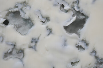  detail shot of blue cheese on table 