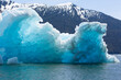 Ice berg in Le Conte Bay, Alaska