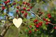 Drewniane serce wiszące na gałązce z owocami jarzębiny