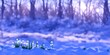 © 2rogan - White snowdrops in the woods in the snow during sunset. High quality Illustration