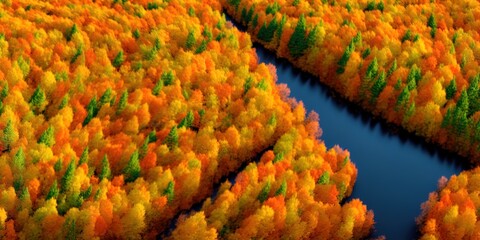 Aerial view of woods in autumn. Seasonal orange colours with a blue river flowing in between maple trees. Digital illustration of yellow woods in the countryside. Colorful foliage of trees in fall