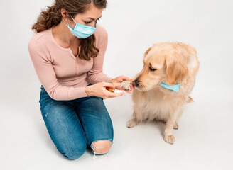 Wall Mural - Girl in medical protected face mask disinfects dogs paws with a sanitizer. A dog smile looks at camera with mask isolated on white background. Pets hygiene concept