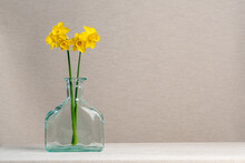 Two Yellow Daffodils In A Glass Vase, A Bottle On A Gray Background. Tenderness. Calm. Spring, Festive Mood. Lightness And Joy. The Test Of Life. Still Life