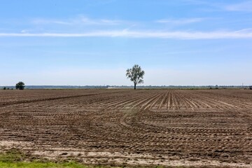 Canvas Print - View of a plowed field in Western Tennessee. USA.