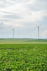 Canvas Print - Vertical shot of a green agricultural field with wind turbines under the cloudy sky