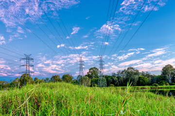 power lines in the field