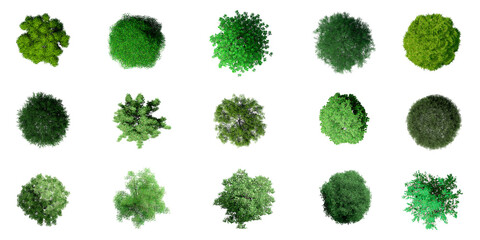 3D Top view Green Trees Isolated on PNGs transparent background , Use for visualization in architectural design or garden decorate	