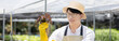 © Puwasit Inyavileart - Owner of a hydroponics vegetable garden inspects agricultural produce in a greenhouse in preparation for delivery to consumers, Organic farming and organic vegetables, Healthy and vegan food concept.