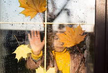 Child Looks Out Of The Window Of The House Outside, Autumn Weather, Wet Glass With Drops After Rain, Yellow Maple Leaves Stuck To The Window. Autumn Mood, Home Comfort