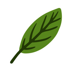 Leinwandbilder - Trendy leaf illustration in minimalist style for natural design element