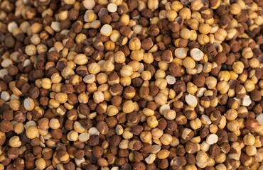 Wall Mural - Roasted Chickpea  or Garbanzo Bean with Selective Focus in Horizontal Orientation, Also Known as Bengal Gram or Egyptian Pea