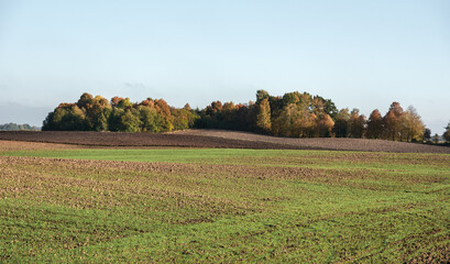 Poster - A view of the countryside.