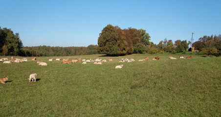 Poster - A view of the countryside.